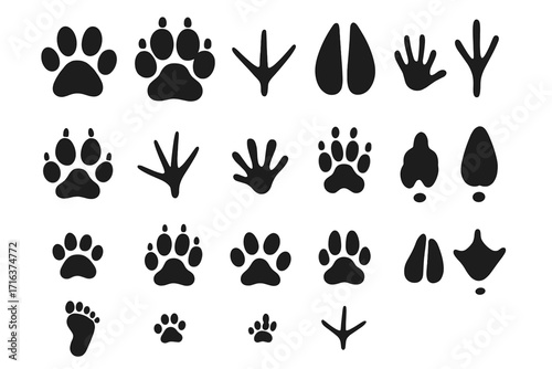 Vector set of animal tracks. Paw prints of dog, cat, bear and bird footprints. Wildlife foot trail silhouettes. Black hoof print collection for hunting or pet concepts.