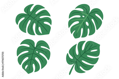 Monstera deliciosa leaf set. Flat vector illustration. Tropical plant foliage. Exotic jungle botanical design element icon. Green summer nature clipart graphic for eco-concept.
