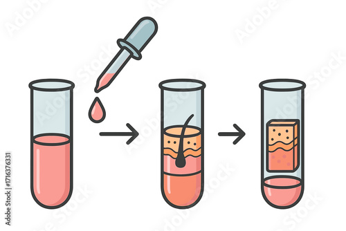 Process of creating artificial skin in test tubes. Lab-grown tissue engineering. Biotechnology, regenerative medicine, and dermatology science experiment vector illustration.