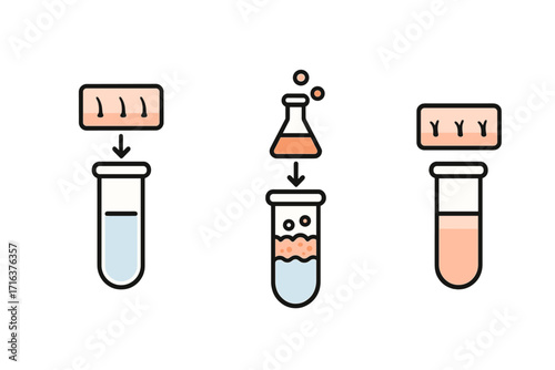 Process of creating artificial skin in test tubes. Biotechnology and tissue engineering concept. Cell cultivation for dermatology. Medical research infographic of synthetic skin.