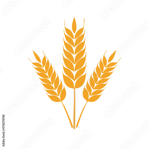 Golden wheat stalks forming a striking natural abstract design symbolizing harvest and agriculture
