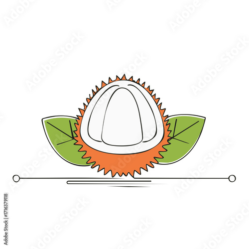 Delicious fresh rambutan tropical fruit halved with leaves simple vector illustration
