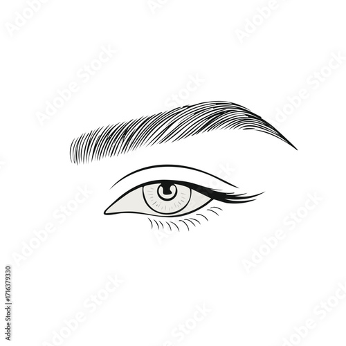 Eye with eyebrow drawing, illustration of eye makeup, eye beauty symbol