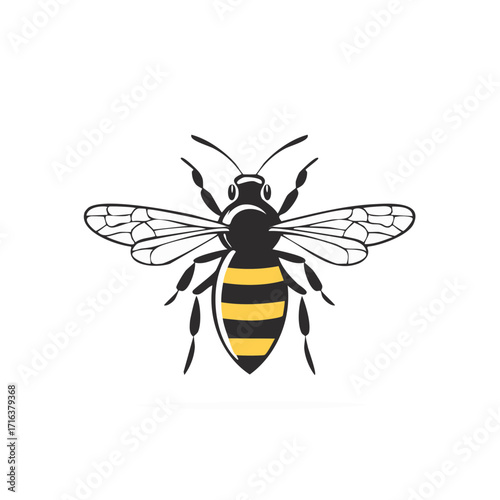 Isolated Vector Graphic Illustration of a Detailed Honey Bee Insect Illustration