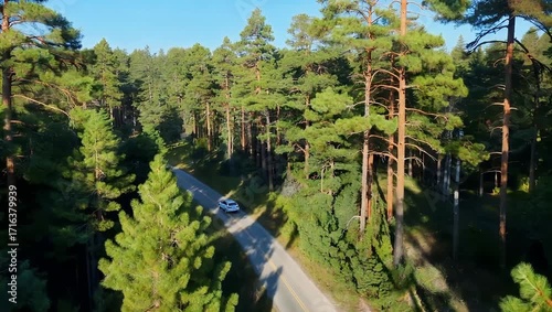 Aerial View of White Car Driving Through Green Forest Country Landscape