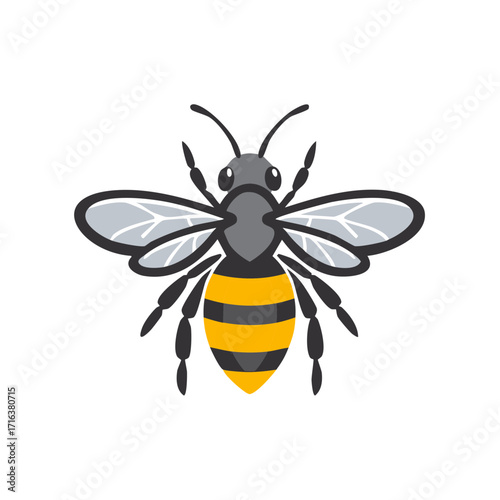 Vector Honey Bee Graphic Flying Insect Stripes Honeycomb Pollenator Wings