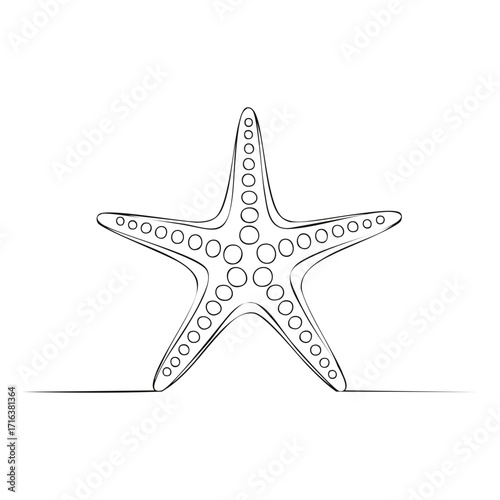Elegant continuous line drawing of a starfish, black outline sea creature illustration