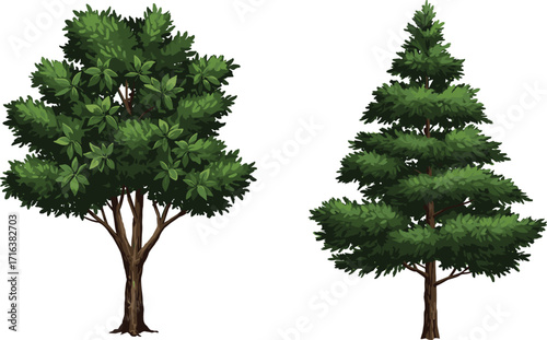tree, foliage, nature, botanical, plant, forest, landscape, leaf, greenery, outdoor, vegetation, natural, seasonal, scenic, environment, flora, growth, wood, decorative,  foliage, nat