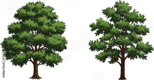 tree, foliage, nature, botanical, plant, forest, landscape, leaf, greenery, outdoor, vegetation, natural, seasonal, scenic, environment, flora, growth, wood, decorative, , foliage,