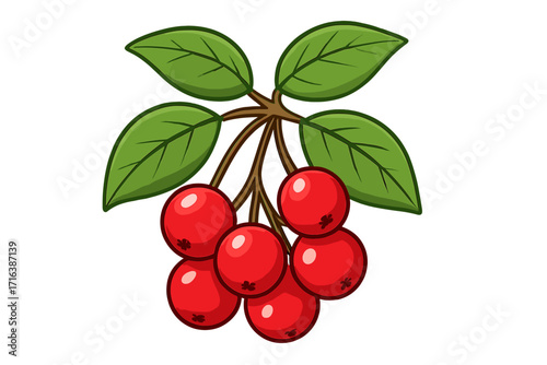 Red berries on branch with green leaves. Vector cartoon illustration. Healthy food concept. Bunch of ripe cranberries or lingonberries. Natural winter plant for holiday decor.