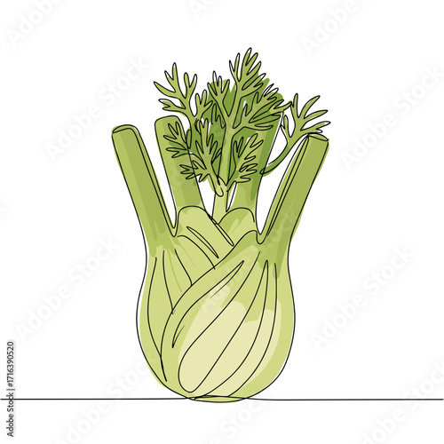 Fennel bulb with feather-like fronds illustrated in simple style  