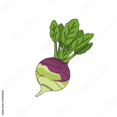 Round root vegetable with green leaves and purple skin  