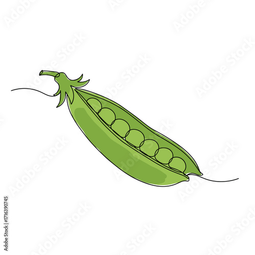 Open pea pod with green peas showing on white background  
