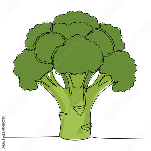 Broccoli illustration with simple lines and vibrant green color  