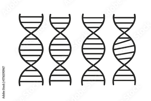 Set of DNA helix icons. Simple vector line art of genetic code, chromosome structure. Science, biology, medicine concept. Gene molecule pictogram for biotechnology design.