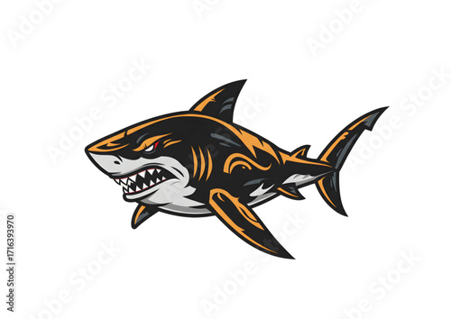 vector illustration of a shark