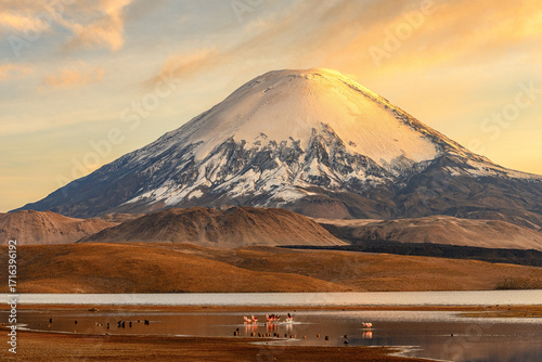 Le Parinacota