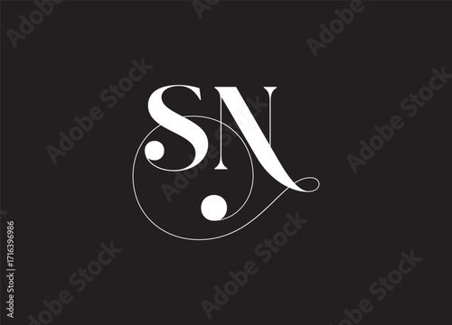 SN letter logo design on luxury background