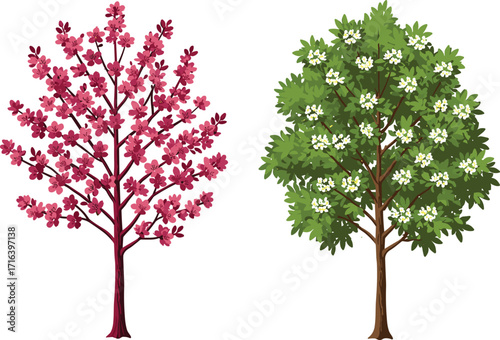 tree, foliage, nature, botanical, plant, forest, landscape, leaf, greenery, outdoor, vegetation, seasonal, blossom, flower, bloom, spring, contrast, decorative, vibrant, , foliage, 