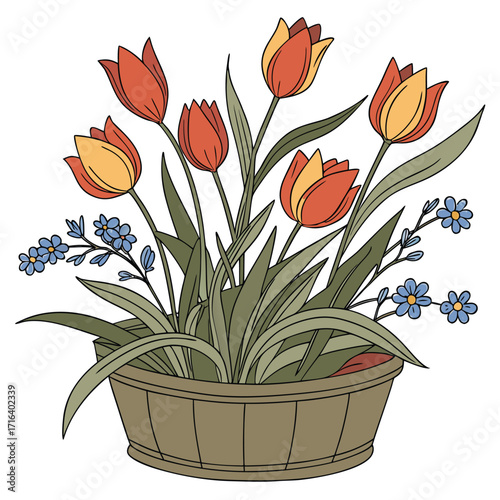 Tulips and forget me nots flower arrangement in a wooden pot Spring flowers illustration Botanical vector design Isolated on white background