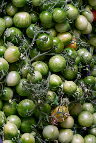 A box of green tomatoes for canning. New harvest.