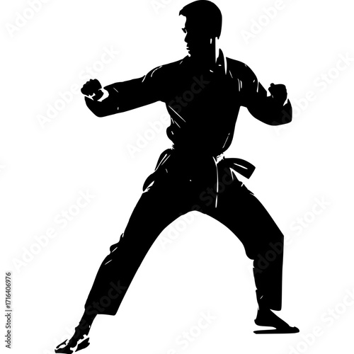 Karate martial arts silhouette vector image for training and fighting art