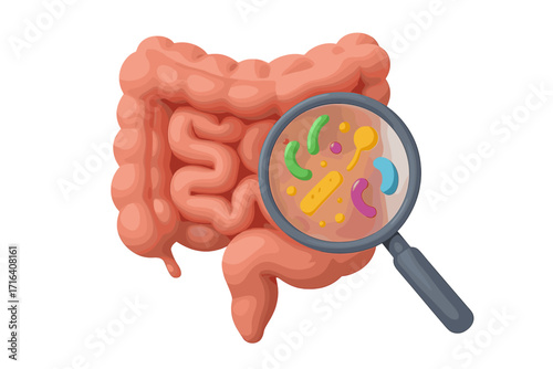 Gut microbiome 3d vector concept. Human intestine research with magnifier. SIBO, leaky gut, candida, dysbiosis. Health, digestive system, bacteria flora analysis cartoon.