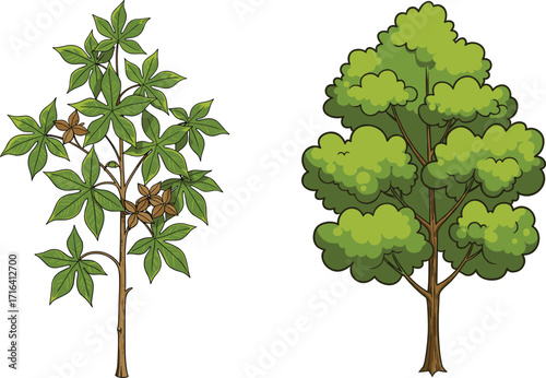 tree, foliage, nature, botanical, plant, forest, landscape, leaf, greenery, outdoor, vegetation, seasonal, seed, pod, fruit, decorative, vibrant, contrast, illustration, , foliage, nature