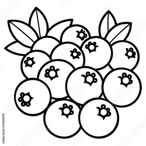 Fresh blueberry fruit vector design pack with realistic details and vibrant colors