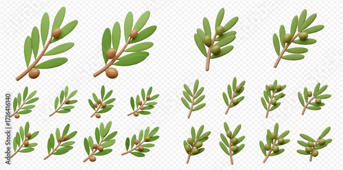 Collection of stylized olive branches with green leaves and small brown olives, arranged on a transparent background.