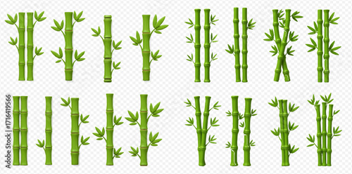 Collection of stylized green bamboo stalks and leaves, arranged in various formations on a transparent background.