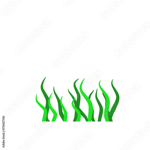 Green algae aquatic 