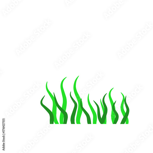 Green algae aquatic 