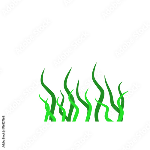 Green algae aquatic 