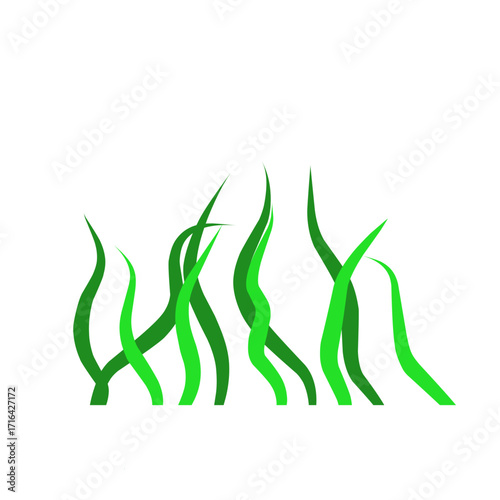 Green algae aquatic 