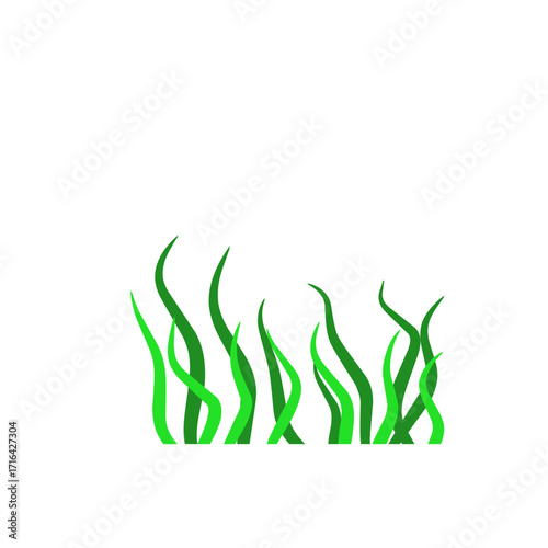 Green algae aquatic 