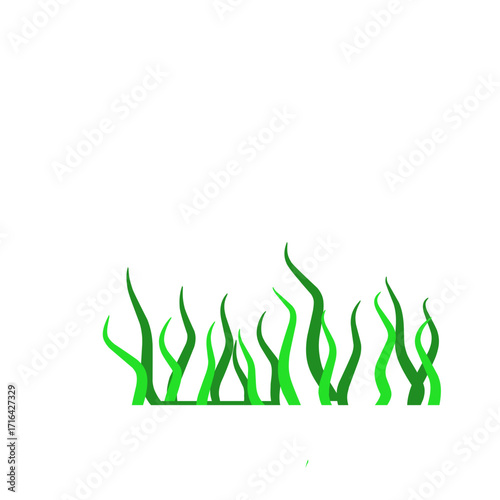 Green algae aquatic 