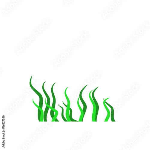 Green algae aquatic 