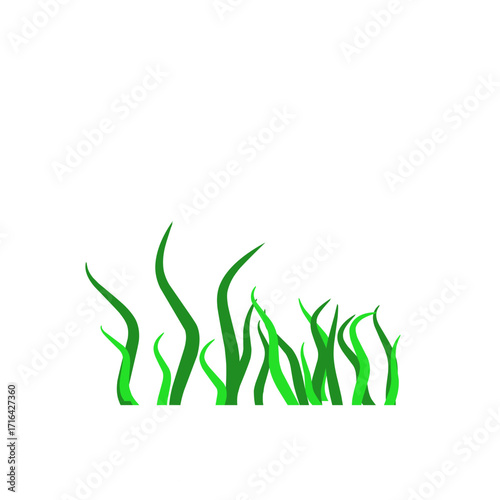 Green algae aquatic 