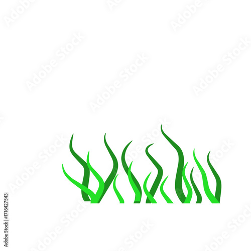 Green algae aquatic 