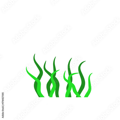 Green algae aquatic 