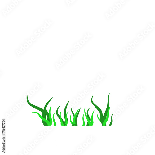 Green algae aquatic 