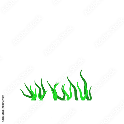 Green algae aquatic 