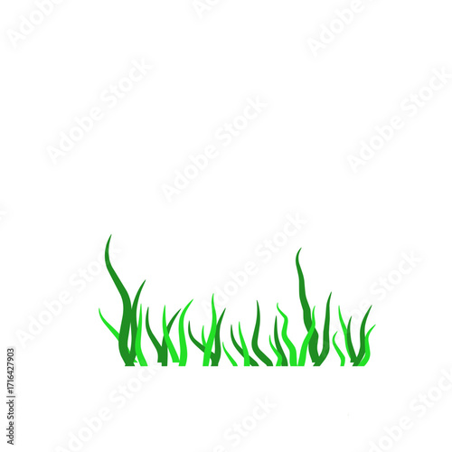 Green algae aquatic 
