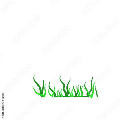 Green algae aquatic 
