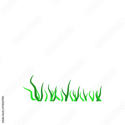 Green algae aquatic 