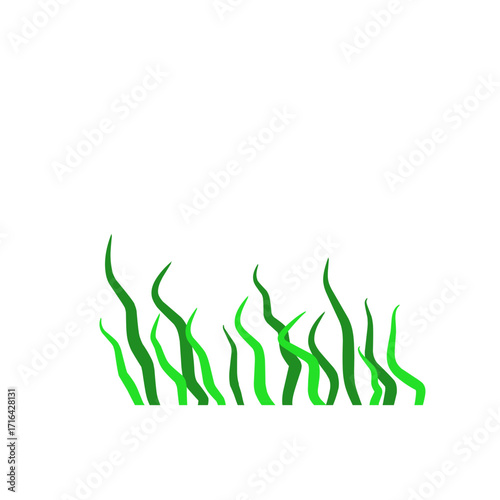 Green algae aquatic 
