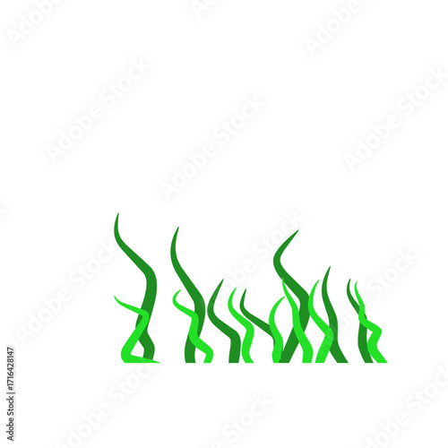 Green algae aquatic 