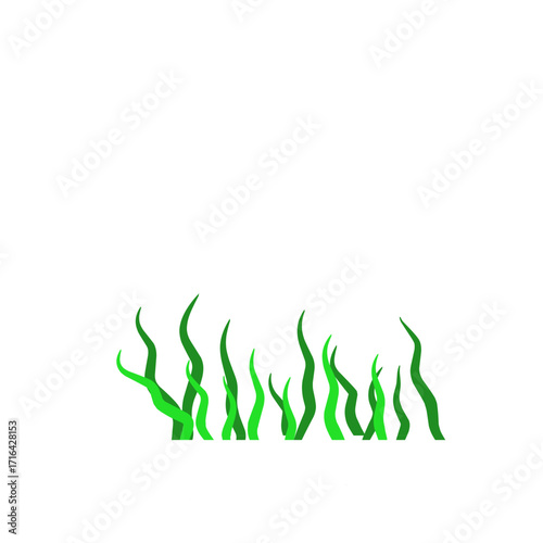 Green algae aquatic 