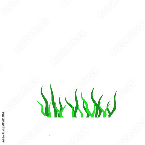 Green algae aquatic 